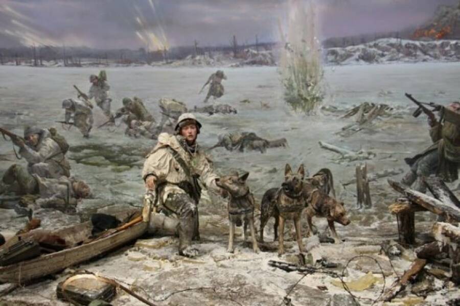 Собаки на Ленинградском фронте, фрагмент диорамы