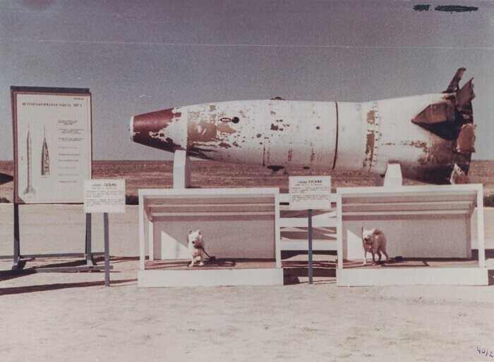 Геофизическая ракета Р2-А с собаками Кусачкой и Пальмой. 1958 год
