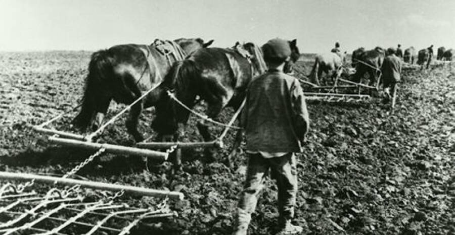 Столыпинская аграрная реформа: как она не отменила революцию