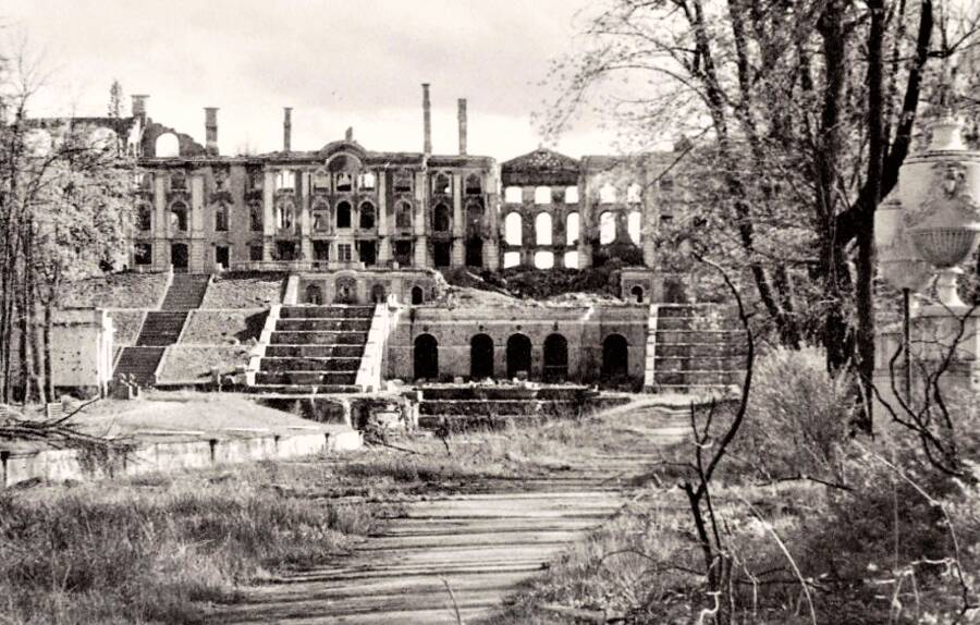 Разрушенный дворцовый ансамбль во время Великой Отечественной войны