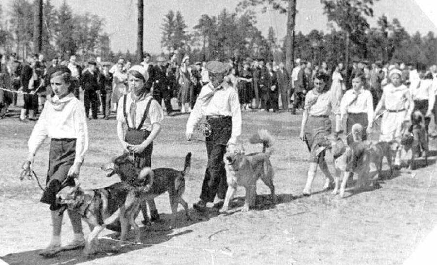 Юные собаководы в парке Сосновка. 1939 год
