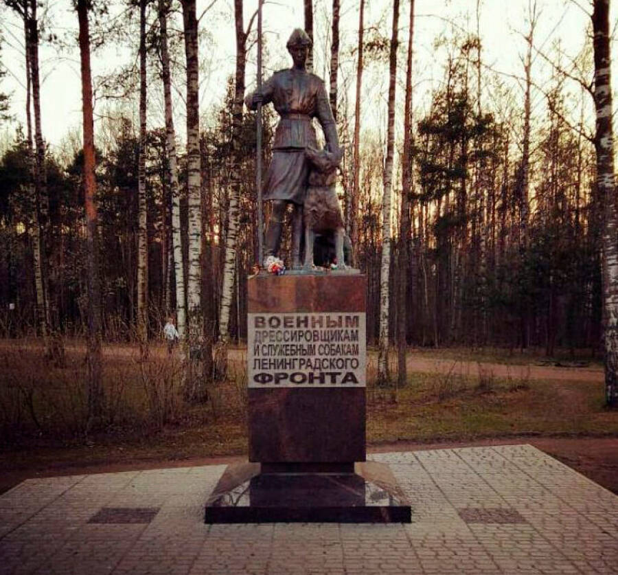 Памятник военным дрессировщикам и служебным собакам Ленинградского фронта