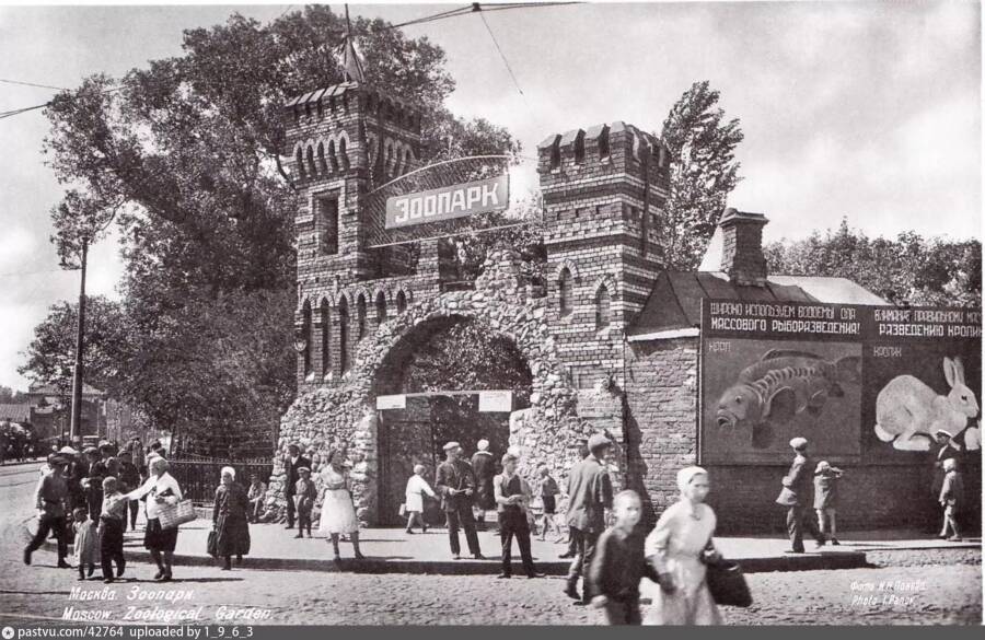 Московский зоопарк. 1935 год. 