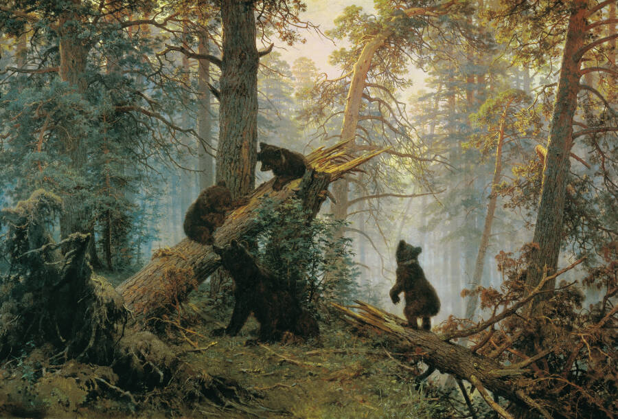 И. И. Шишкин, К. А. Савицкий. «Утро в сосновом лесу». 1889.  Третьяковская галерея, Москва