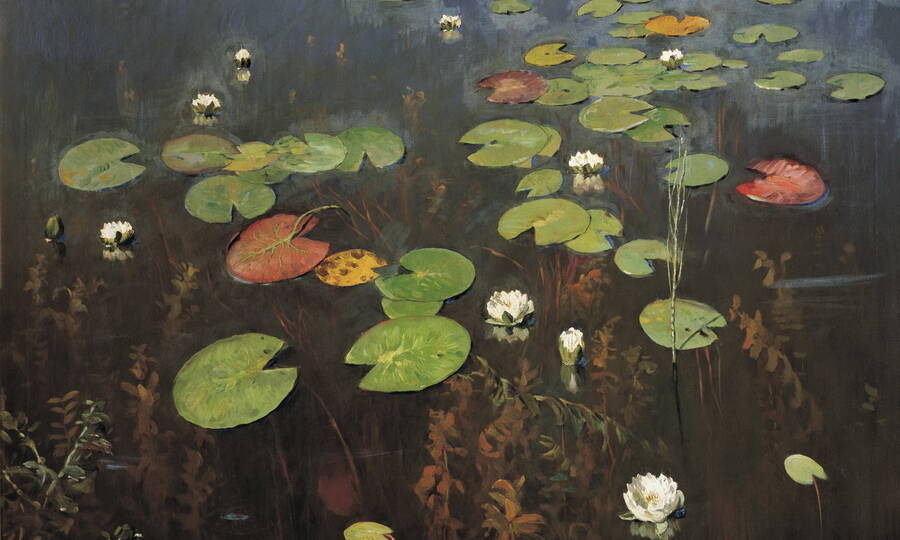 «Ненюфары» («Водяные лилии»), 1895 год