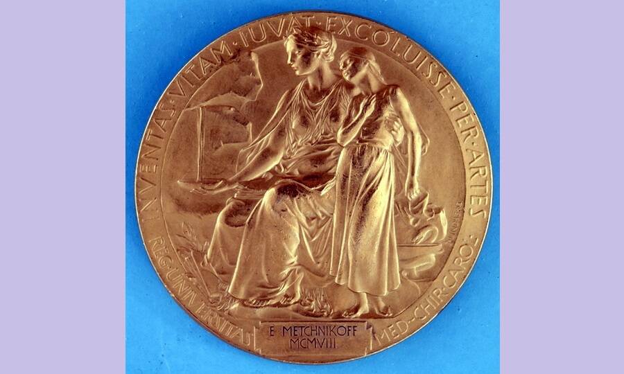 Нобелевская премия Мечникова 1908. За что получил Нобелевскую премию Мечников в 1908 году.