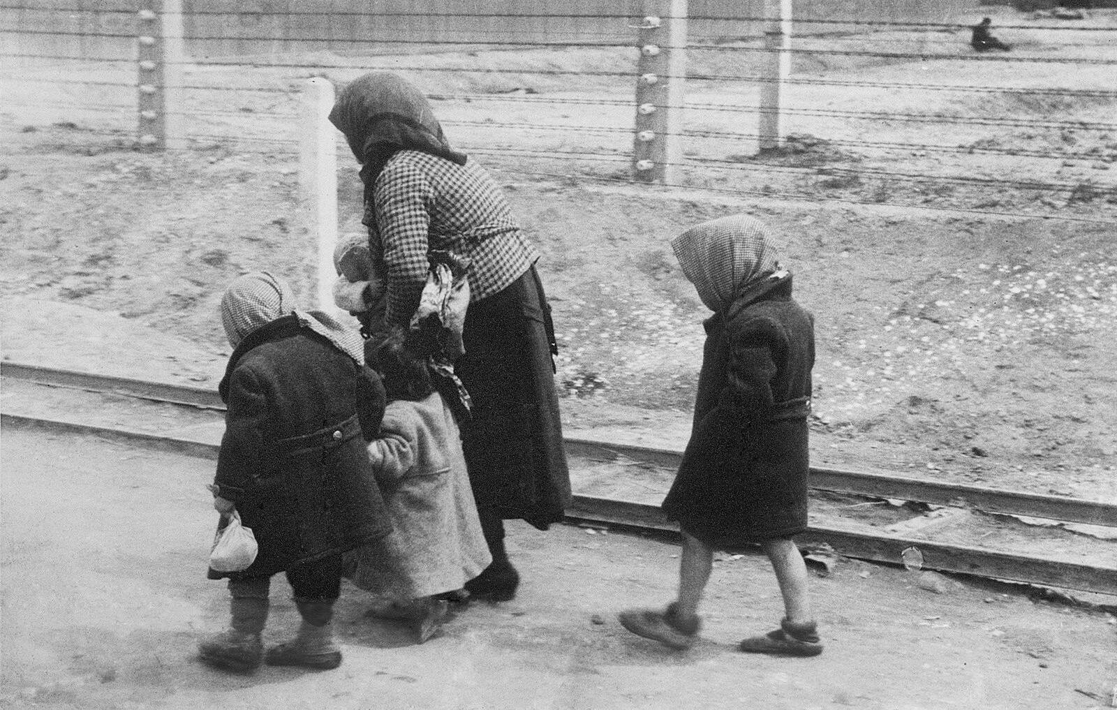 Венгерские евреи идут в газовые камеры Освенцима, май 1944 года.