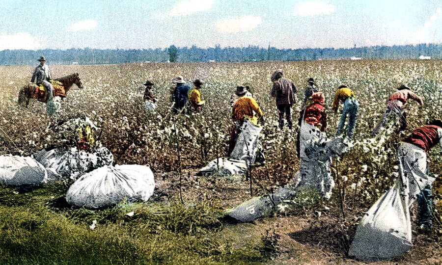 Чернокожие рабы на хлопковой плантации в США