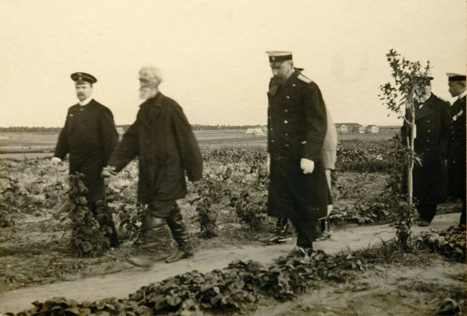 Столыпин во время поездки по стране осматривает хуторские огороды близ Москвы. Август 1910 года