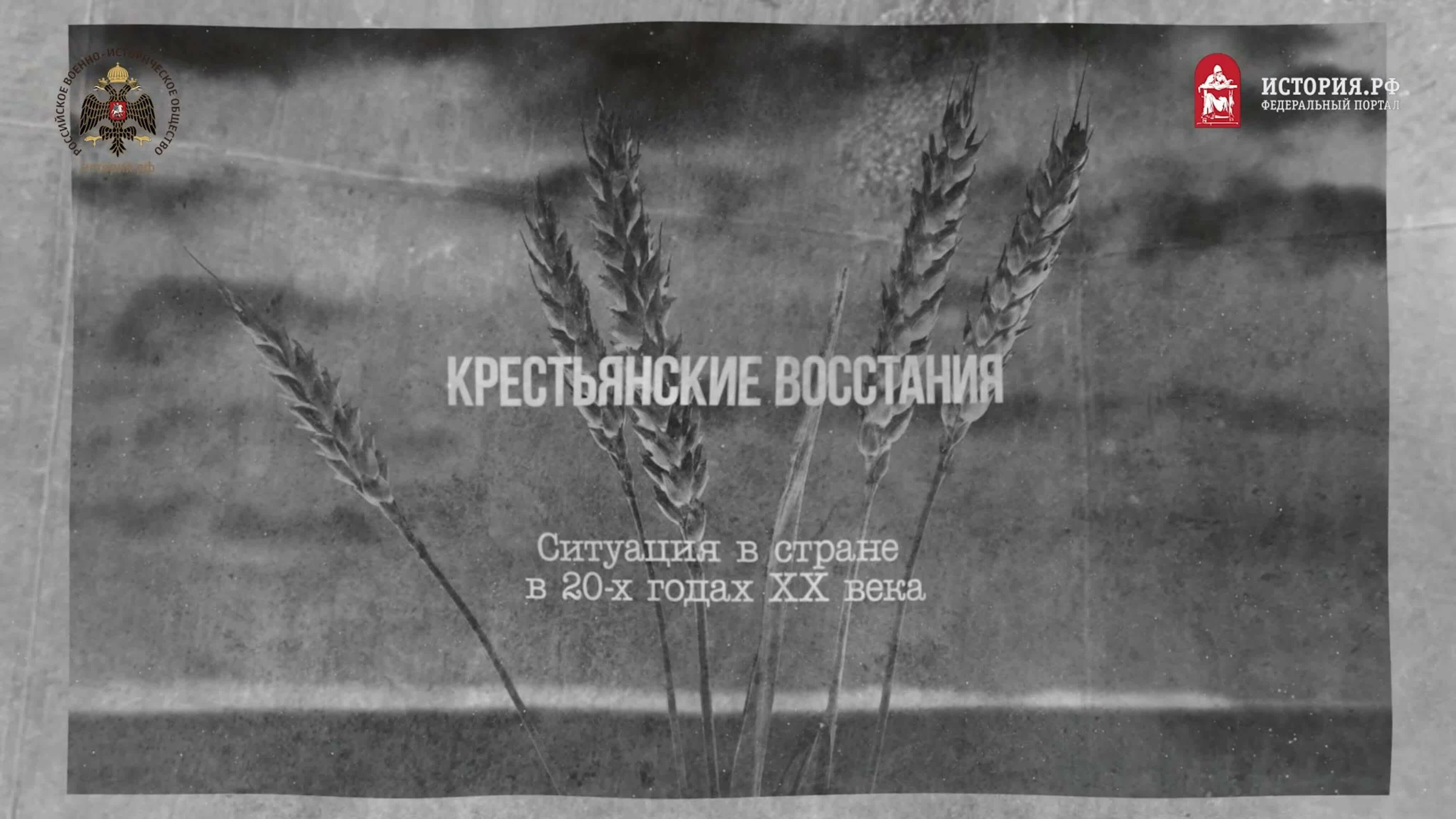 Крестьянские восстания 20-х г., борьба с Басмачеством (Зеленый фронт Гражданской войны)