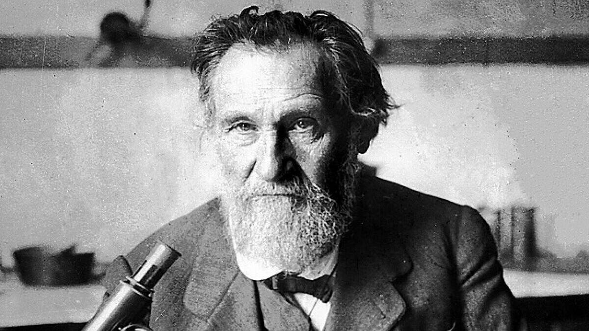 1908 год. Илья Мечников