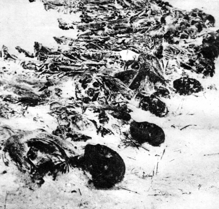 Останки советских мирных граждан, расстрелянных во дворе тюрьмы в Гомеле
