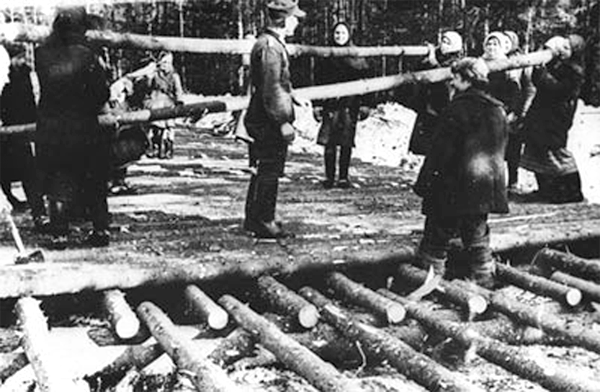1943 г. Витебская область. Крестьяне под надзором немецких оккупантов строят дорогу через лес