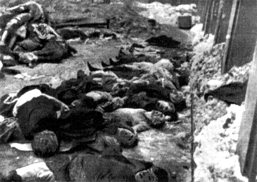 Жертвы фашистского террора у тюремной стены в Орле, 1942 г.