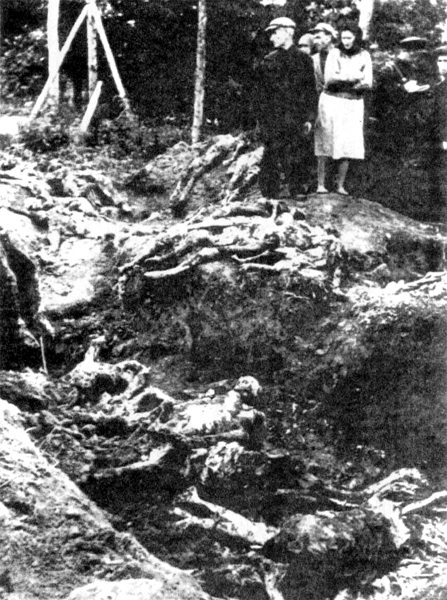Жертвы немецко-фашистской оккупации. 1943 г., г. Орёл