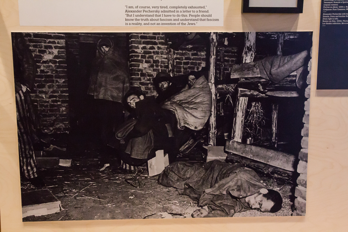 «Погибли не от пыток, а вырываясь на свободу…» Репортаж с выставки «Собибор. Победившие смерть»