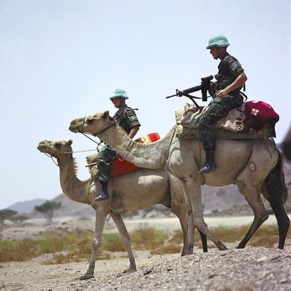 Миротворцы ООН в Эритрее 