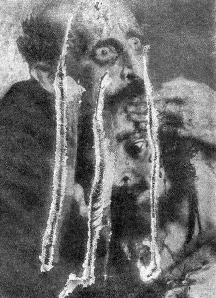 Фрагмент картины И.Е. Репина, поврежденный в 1913 году Абрамом Балашовым.