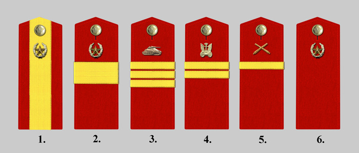 1 - старшина; 2 - старший сержант; 3 - сержант; 4 - младший сержант; 5 - ефрейтор; 6 - рядовой.