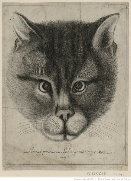 Подлинный портрет кота великого князя Московии. Художник Вацлав Холлар. 1663 год.